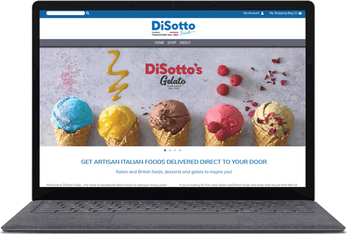 Disotto Website